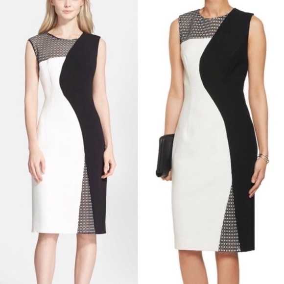 Milly Mesh Helix Colorblock Sheath Dress Black and White Two Tone Sheath Size 2 - Picture 1 of 10